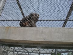 秦岭动物园-西安秦岭野生动物园