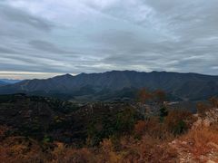 -府君山公园