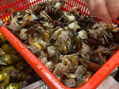 -养牛邓·潮汕牛肉海鲜自助火锅(广州店)