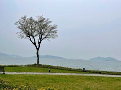 -东钱湖小普陀景区