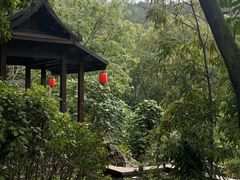 -美的鹭湖森林度假区