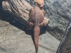 -青青世界