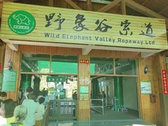-野象谷景区