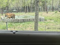 -秦皇岛野生动物园