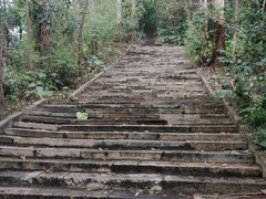 -滴水岩森林公园