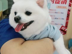 -宠福鑫康馨动物医院·骨科·眼科