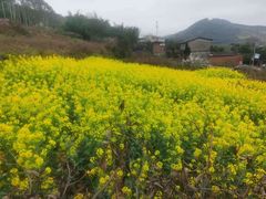-白鹭湾湿地公园