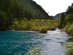 -九寨沟-树正沟