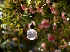 -第101座花园餐厅(湖滨88店)