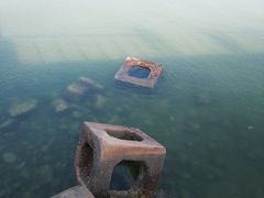 -东疆建设开发纪念公园