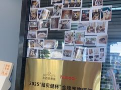 -御宝贝·A梦猫科宠物医院(国际猫友好医院)
