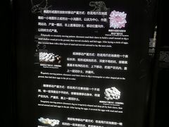 -中国西峡恐龙遗迹园
