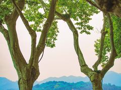 -北山街历史文化街区