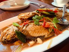 -肴约·花园式餐厅(湖里店)