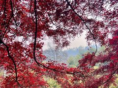 -莫干山风景区