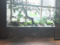 -海立阁海鲜江浙菜(漕河泾印象城店)