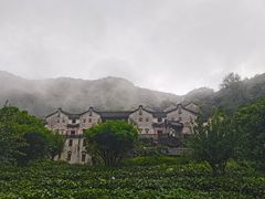 -雁南飞茶田景区