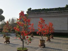 -荆川公园