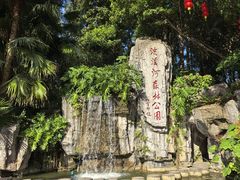 -广州市流溪河国家森林公园