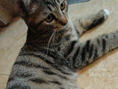 -逃脱反斗城沉浸剧情密室(北京路店)