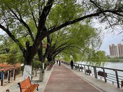 -沙澧河风景区