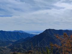 -大岭沟猕猴桃谷风景区