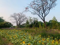 -西溪国家湿地公园