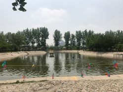 -上美四季动物农场