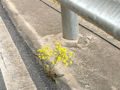 -仙海旅游度假区