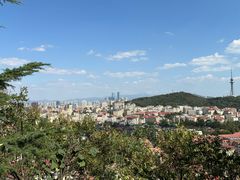 -信号山公园