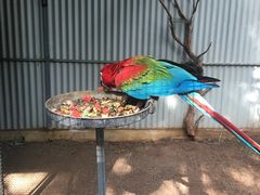 -费瑟代尔野生动物园