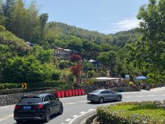 -四明山国家森林公园