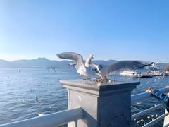 -海埂大坝