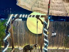 -大象营野Life营地·钓虾(坦尾店)