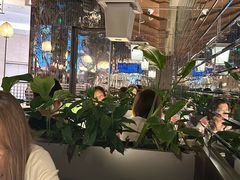 -桂满陇·海市蜃楼·黑金(国金店)