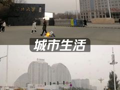 -闫家驴肉火烧(五四店)