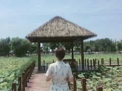 -西青郊野公园