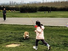 -君乐宝优致牧场