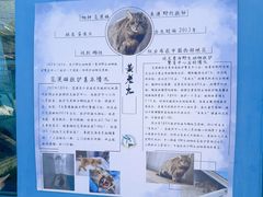 -青藏高原野生动物园