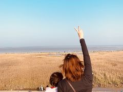 景点-南汇嘴观海公园