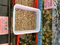 -荔城生鲜盛宴(番禺旗舰店)