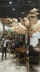 -简影造型·自选烫染接发salon