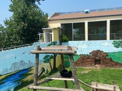 -西霞口神雕山野生动物世界