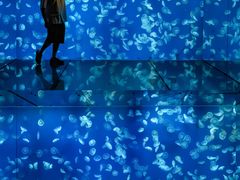 -江和美海洋公园
