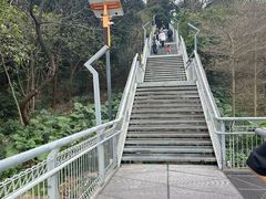 -佛山华盖山公园