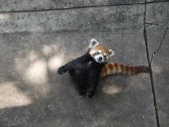 -昆明动物园