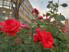 -小八仙·宴(三峡茶庄店)