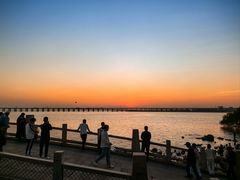 -宝安西湾红树林湿地公园