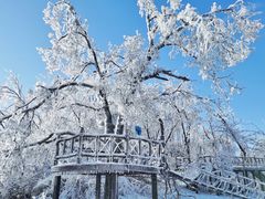 -中旅松花湖滑雪场