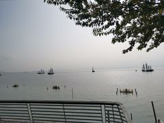 -贡湖湾湿地公园